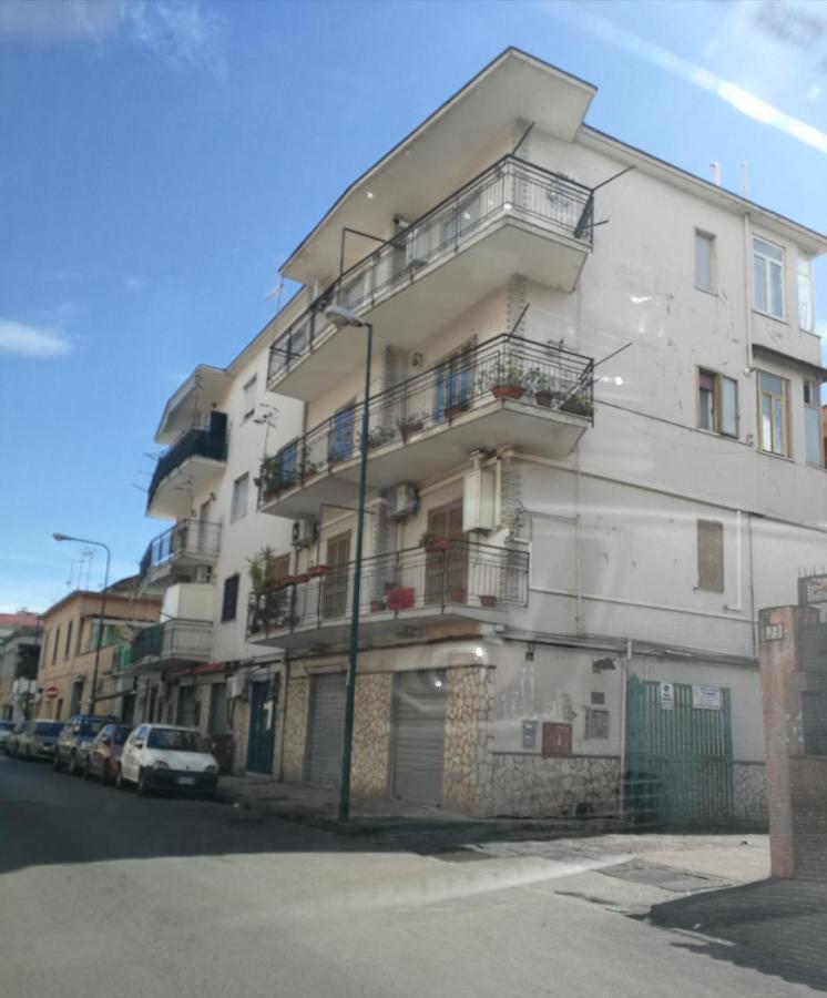 Bellidea * Napoli